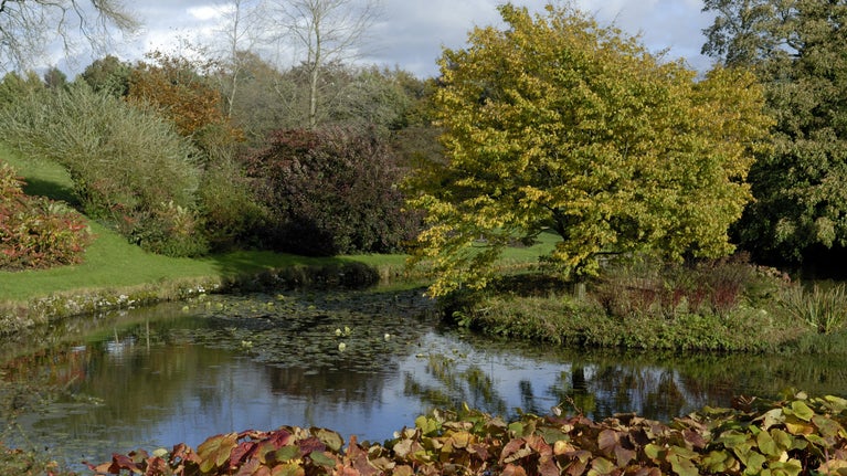 View of a lake from above surrounded by autumn trees
